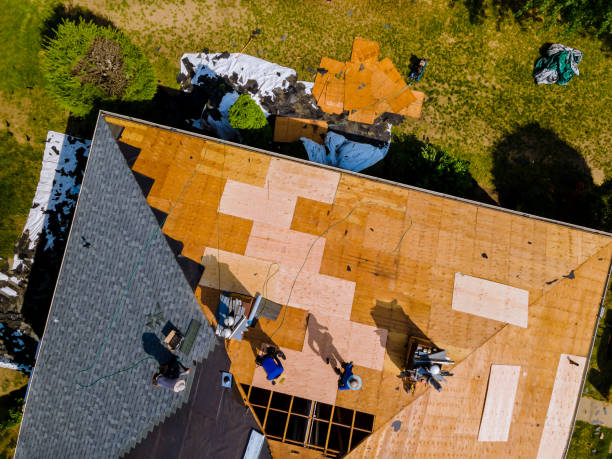 Roof Gutter Cleaning in Versailles, IN