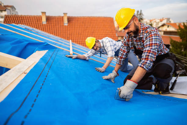 Best Commercial Roofing Services  in Versailles, IN