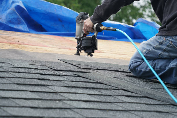 Best Roof Leak Repair  in Versailles, IN