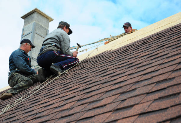 Best Roof Gutter Cleaning  in Versailles, IN